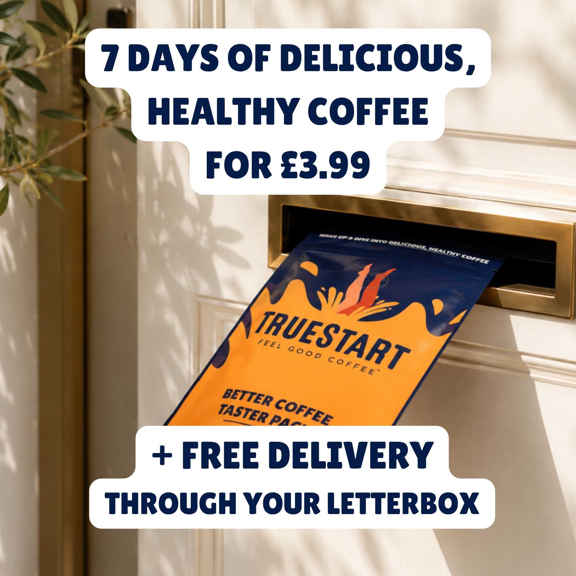 Decaf Swiss Water Coffee Beans Taster Pack