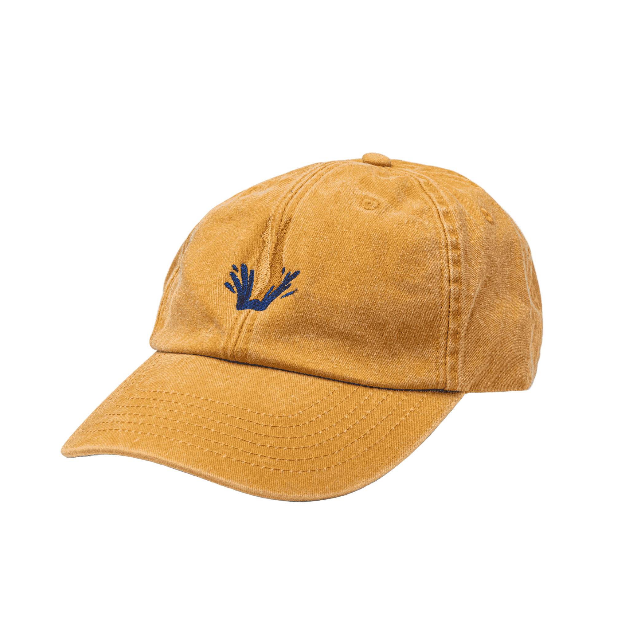TrueStart Cap