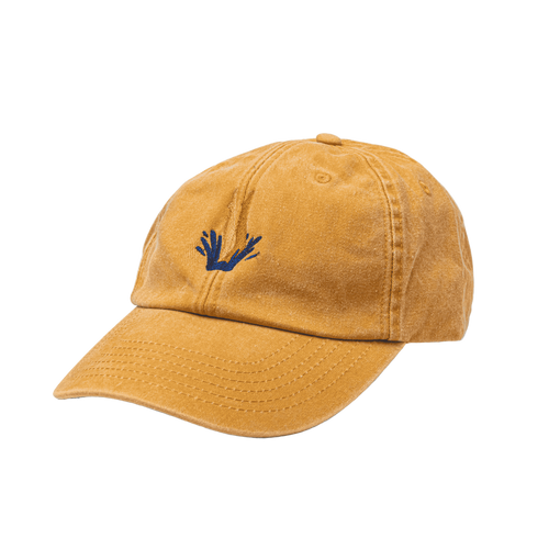 TrueStart Cap