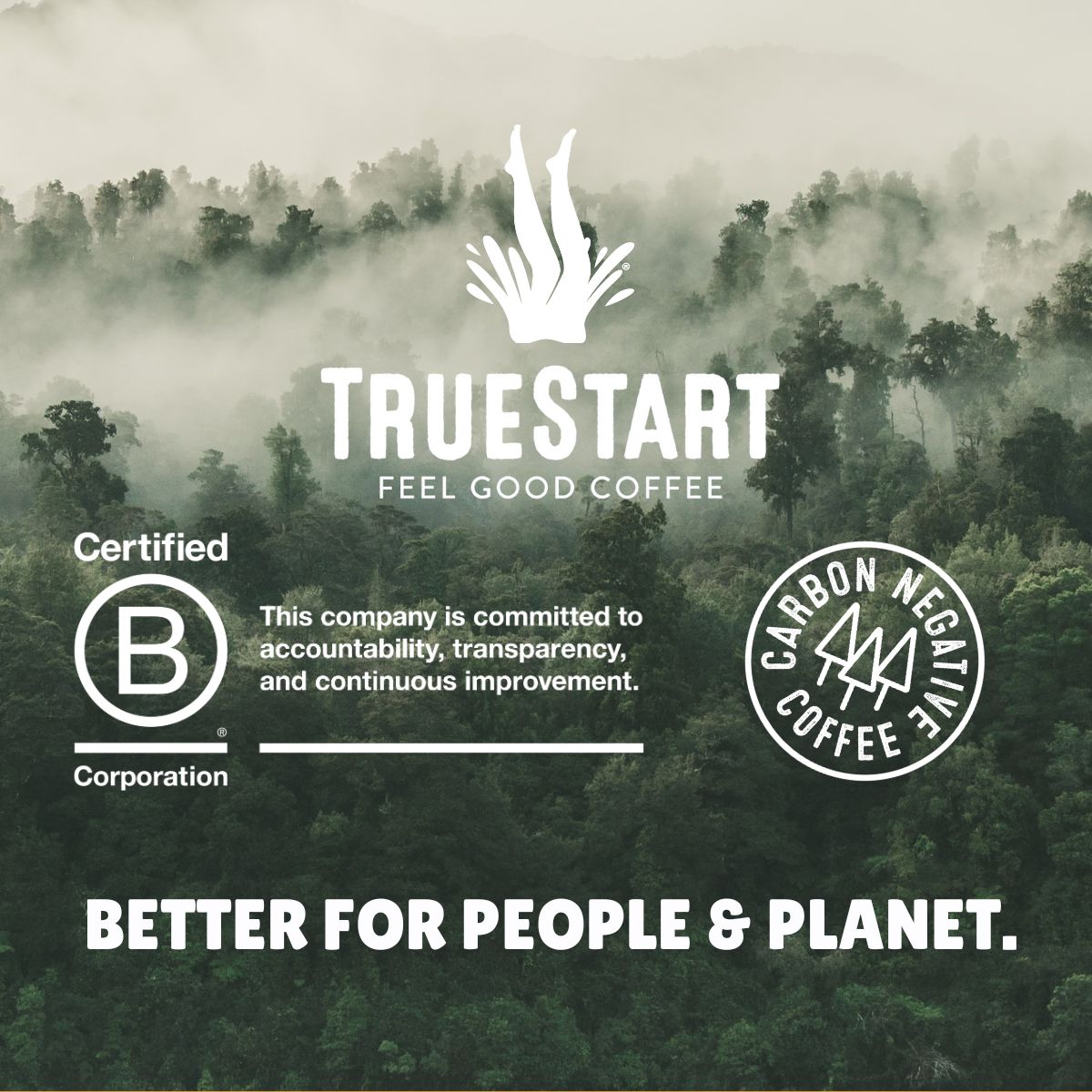 Lower Caffeine Instant Bundle