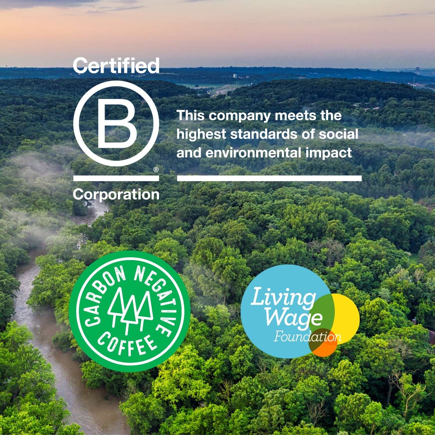 Mexican Mountain Water Decaf Coffee - Bulk Buy